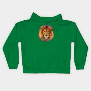 Lion King from Africa Kids Hoodie